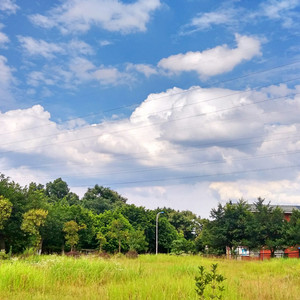 成年人在线视频网站

