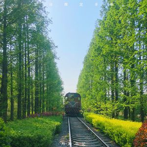 成年人在线视频网站
